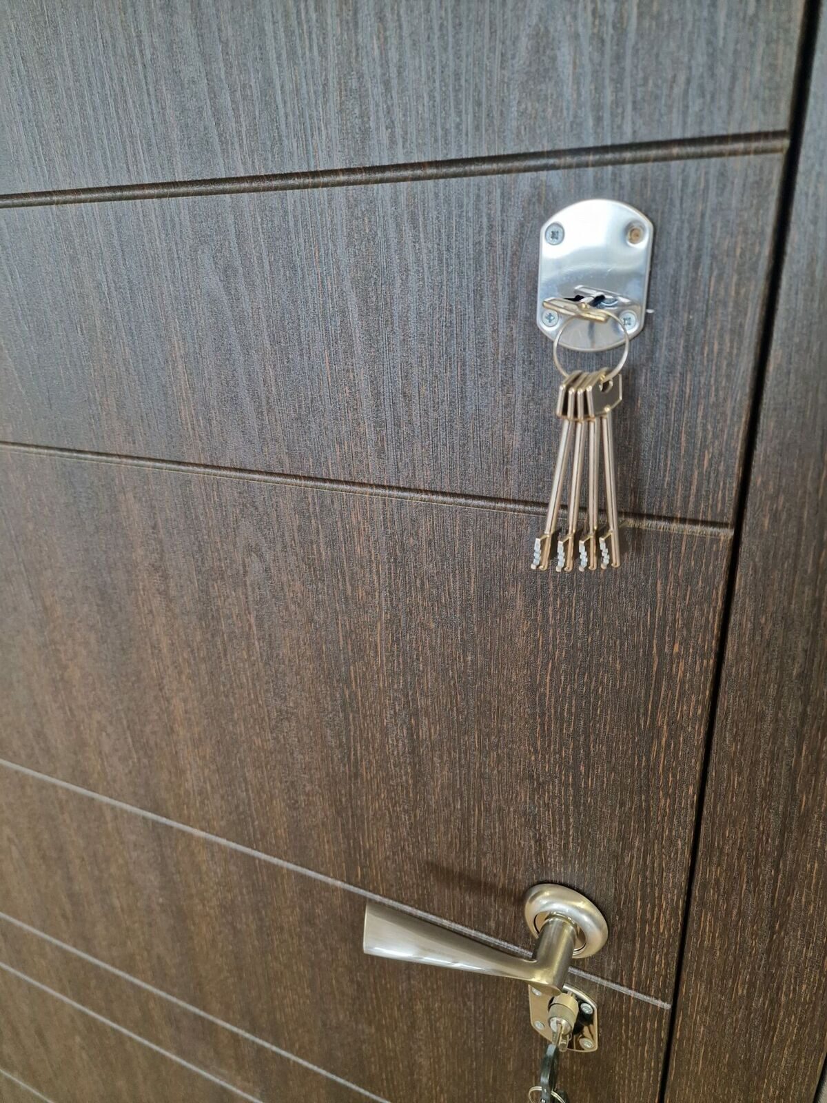 20230120_104729-scaled